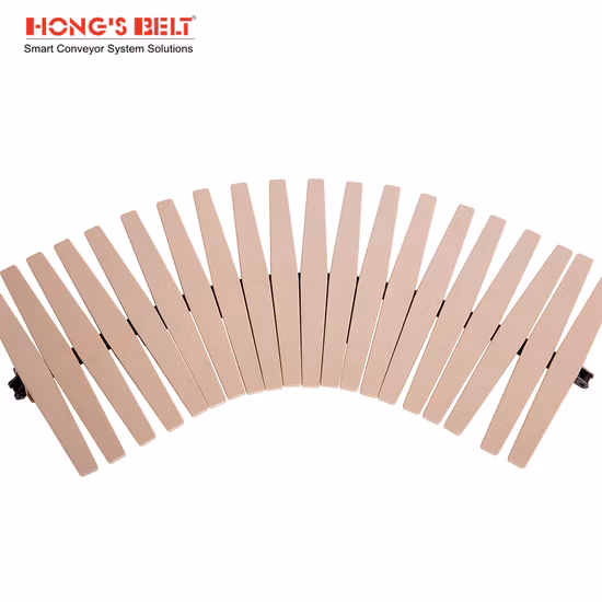 Hongsbelt HS